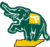 Tennessee Elephants.png