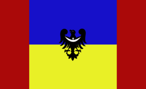 Ukrainized NS Flag.png
