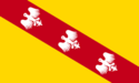 Flag of Touloisie