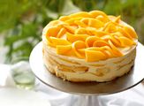 Bentheses Mango Cake