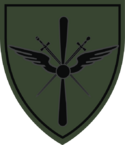 Coa military sleeve airforce subdued.png