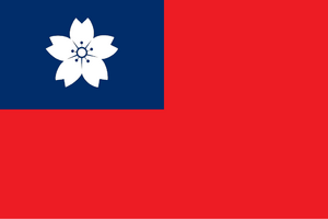 Official Flag of Namsa.png