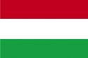 Flag of Radictistan