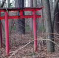 One of the very first few Torii Gates that became notorious with the urban legend, Roheo Radei Oratite