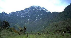 Margherita-Peak-border-Mount-Stanley-Ruwenzori-Range.jpg