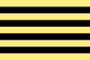 Flag of Kingdom of Visega
