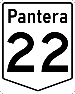 PN-22.png