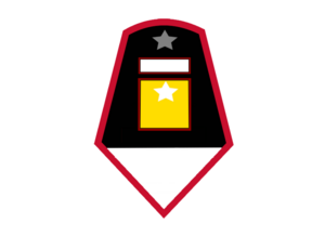 Erster Sergeant rank.png