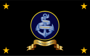 Navy Flag302190.png