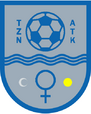 Shirt badge/Association crest