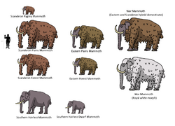 Mammoths.png