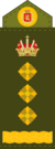 Royal Army, Colonel.png