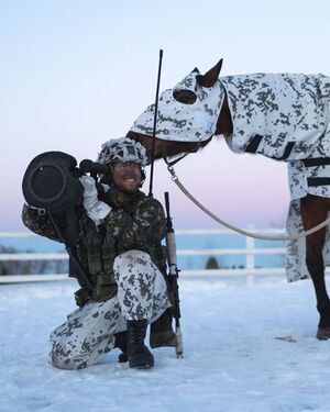 CavAlaresTrooper Snow withMount.jpg