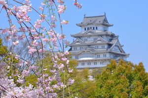 Ohimeji Castle.jpg