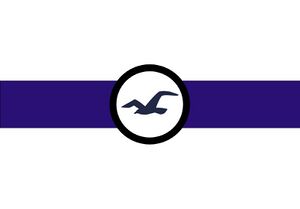 AviatiaFlag.jpg