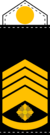 Royal Navy, Chief Master Petty Officer.PNG