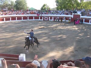 Verdean Bullfight.jpg