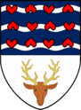 Olaf Eiriksson Coat of Arms.png