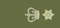 Aswick Army Lieutenant Colonel.png