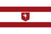 State-Flag-Of-Vidoria.png