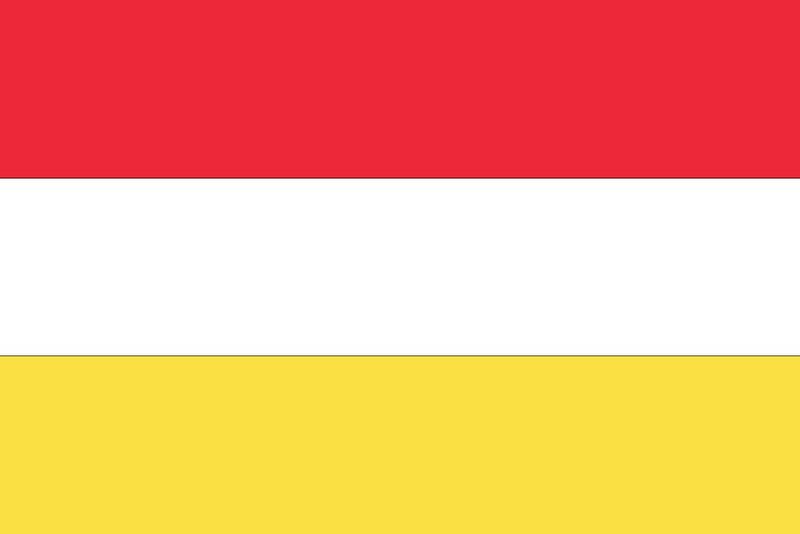 File:Flag of the Gaullican Empire.jpg