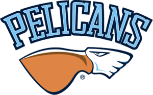 Karexaus Pelicans logo.png