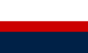 Flag of Hakonstad
