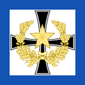 Flag of the Mascyllary Colonel of the Regiment of the Air Force.png