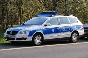 BundespolizeiCarBak.jpg