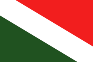 Governorate Misano-Alessandrou flag.png