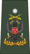 Adjudant-majoor Klasse II der Mariniers.png