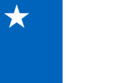 Flag of San Valdivielso