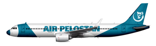 Air Pelostan Aircarftsmall.png