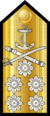 LN Navy OF10.png