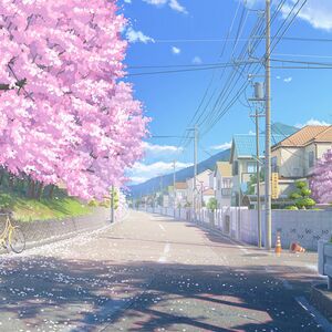 Beautiful Street.jpg