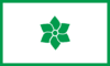 Flag of Tirucca