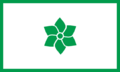 Flag of Tirucca.png