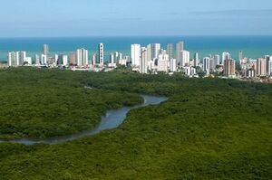 Parque Nacional Antonio Valladares.jpg