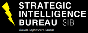 Strategic intelligence bureau logo 2.png