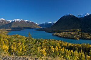 Cooper Landing Landscape.jpeg