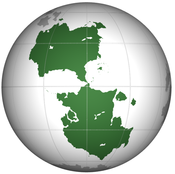 File:Orthographic projection of the Artalias.png