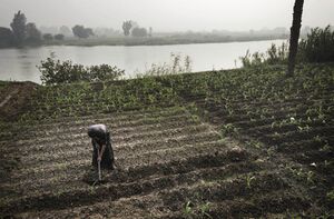 Black soil farmer.jpg