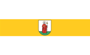 Flag of Santiago de Escriva.png