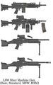LSW Mare squad automatic rifle and light machine gun.