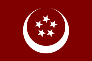 Na'ijastenFlag.png