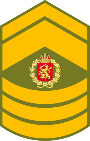 Royal Army, Chief Master Sergeant Patch.png