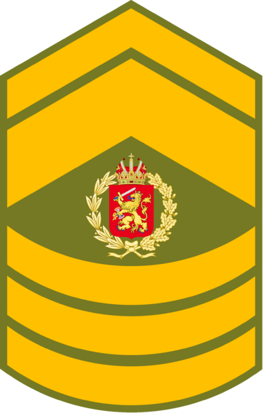 File:Royal Army, Chief Master Sergeant Patch.png