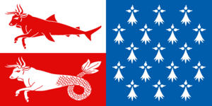 Flag of Geillen County.png