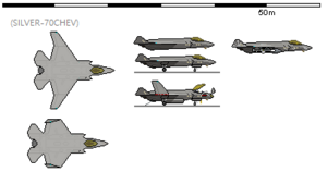 NRI RAS F-20C.png
