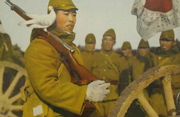 Soldier with Dove IJA.jpeg